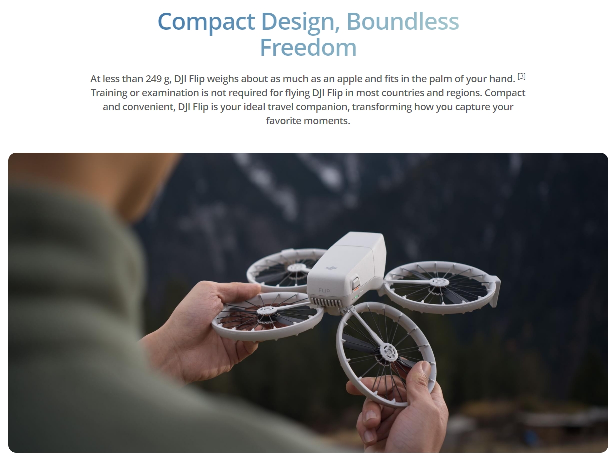 DJI Flip