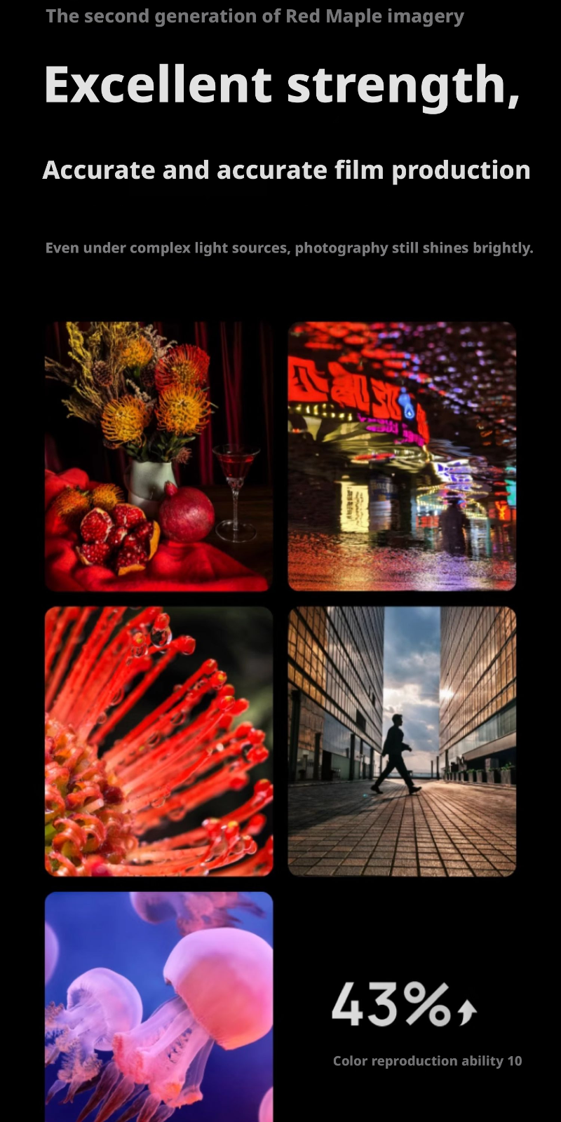 Huawei Mate X7 Dual SIM 512GB, 16GB RAM Phone (Chinese Version) 21