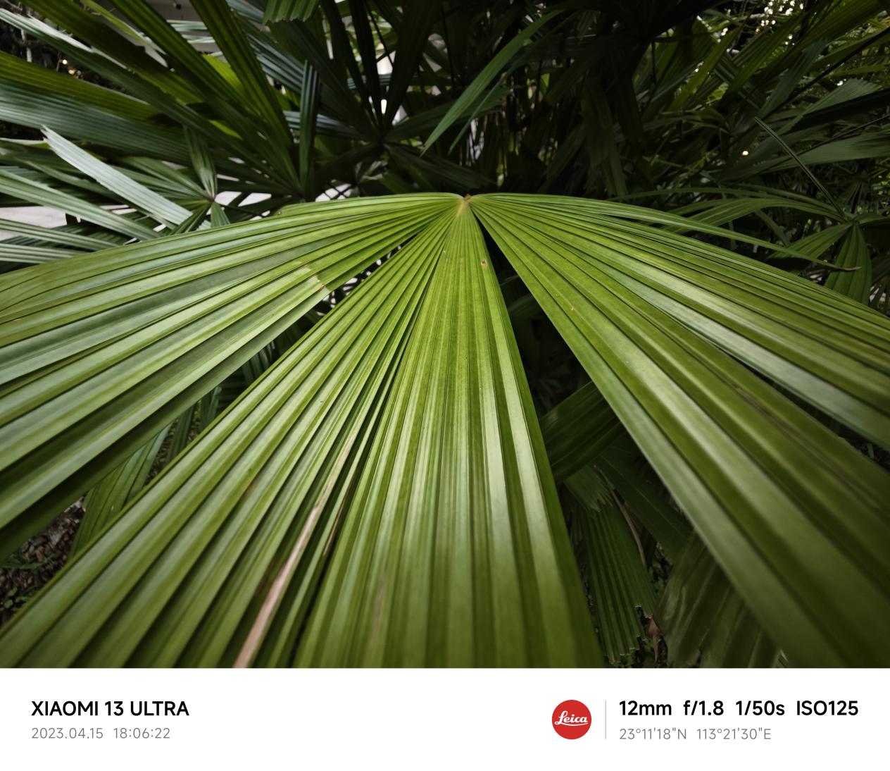 Review Of The Xiaomi 12S Ultra: Photography Fans, You're Going To