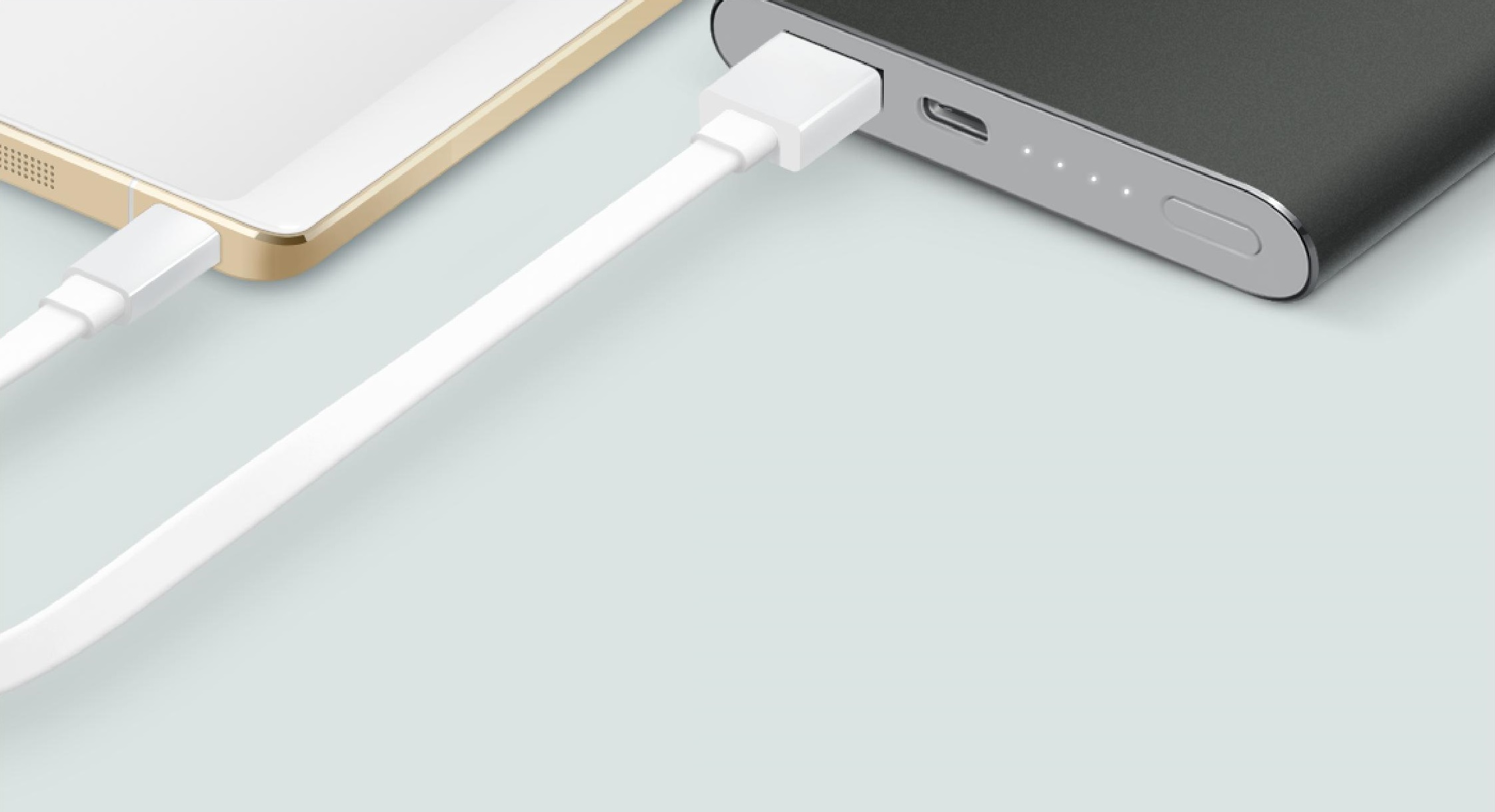Xiaomi Mi Power Bank